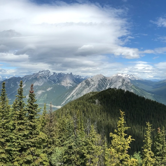 Meet your Posher, Floriane - Picture 1 of 1